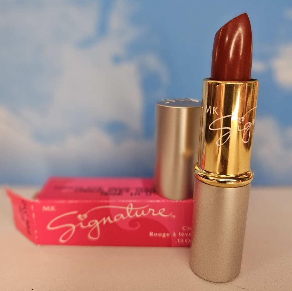 Mary Kay Signature Creme Lipstick CHOCOLATE MOUS 0205 - Torn Packaging